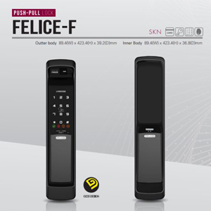 digital door lock Loghome push pull handle product Felice-F in Malaysia